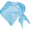 Glatte taschentücher roly festero polyester himmelblau gedruckt bilden 1