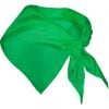 Glatte taschentücher roly festero polyester irischgrün gedruckt bilden 1