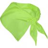 Glatte taschentücher roly festero polyester mantis grün gedruckt bilden 1