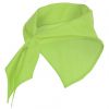 Glatte taschentücher roly jaranero polyester mantis grün bilden 1